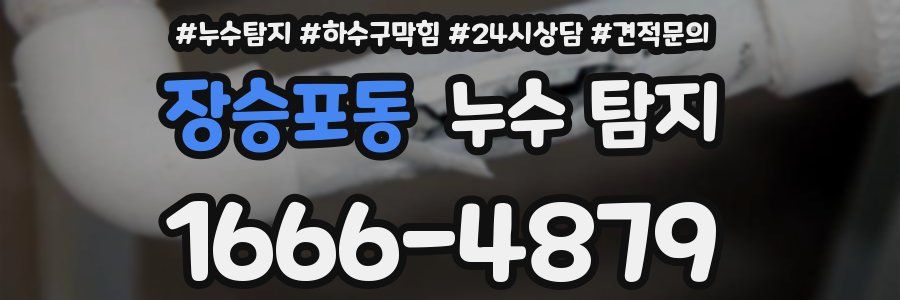 장승포동 누수 탐지