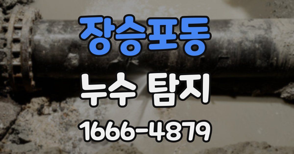 장승포동 누수 탐지