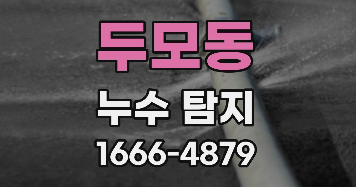 두모동 누수 탐지