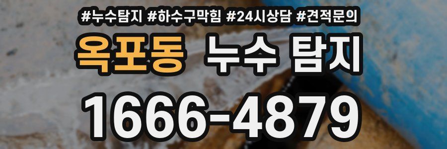 옥포동 누수 탐지