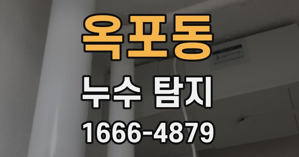 옥포동 누수 탐지