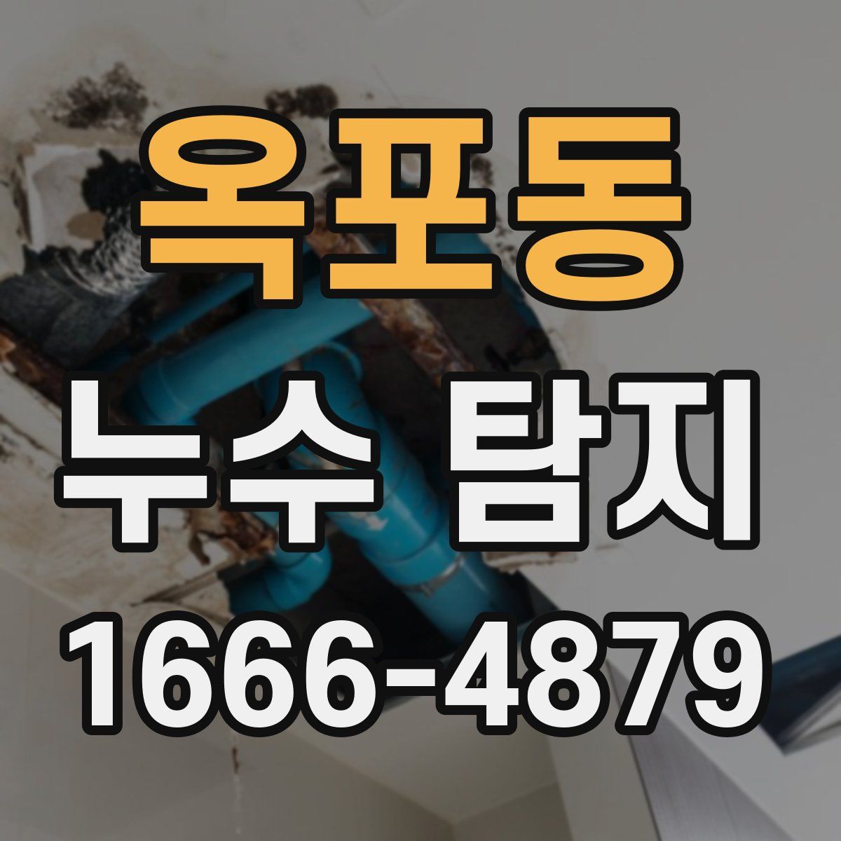 옥포동 누수 탐지
