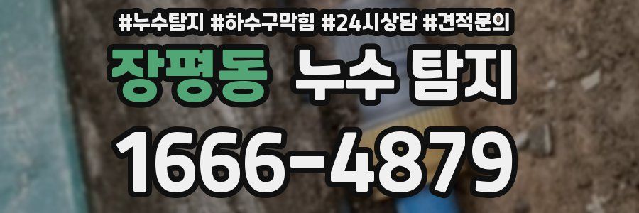 장평동 누수 탐지