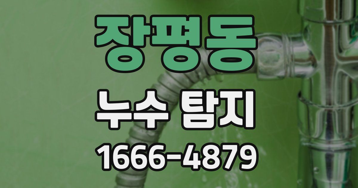 장평동 누수 탐지