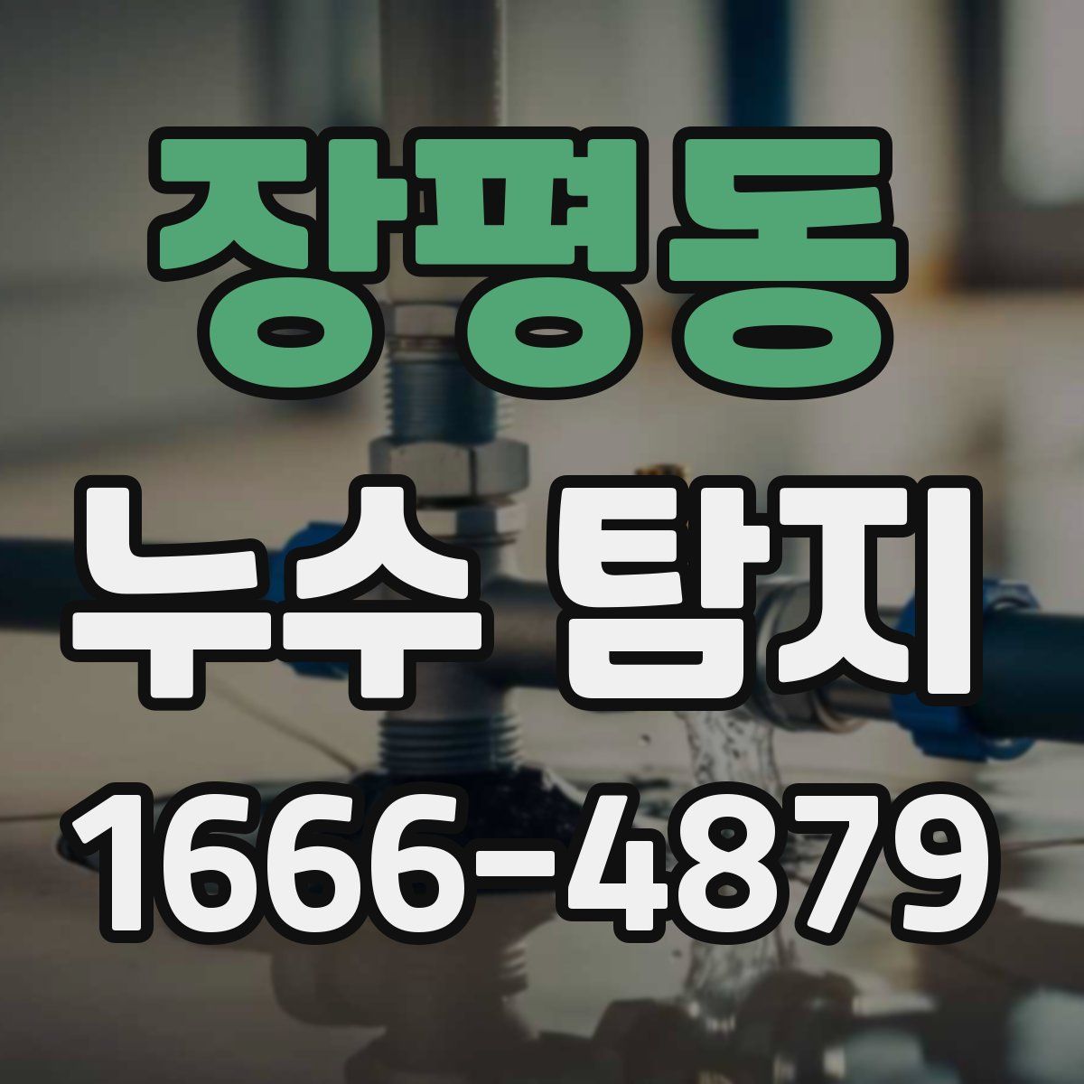 장평동 누수 탐지