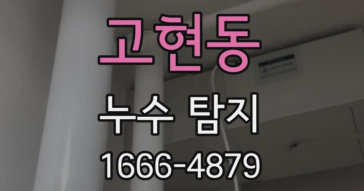 고현동 누수 탐지