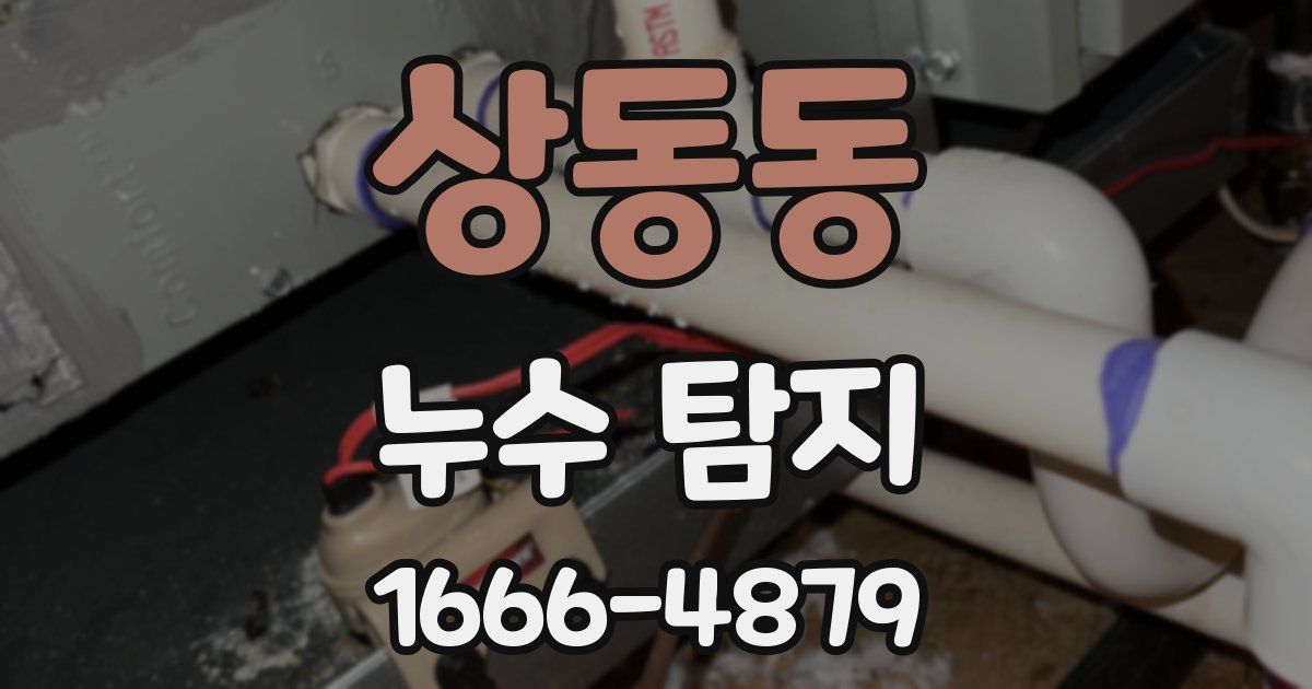 상동동 누수 탐지