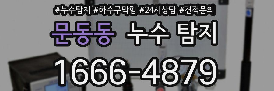 문동동 누수 탐지