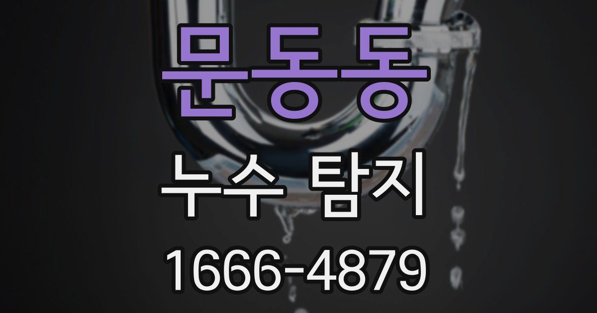 문동동 누수 탐지