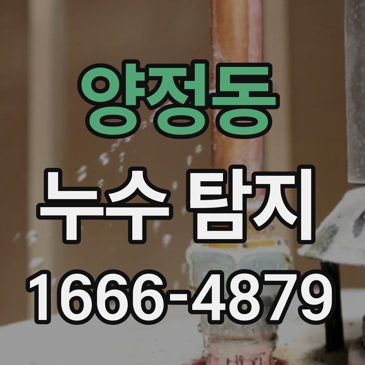 양정동 누수 탐지