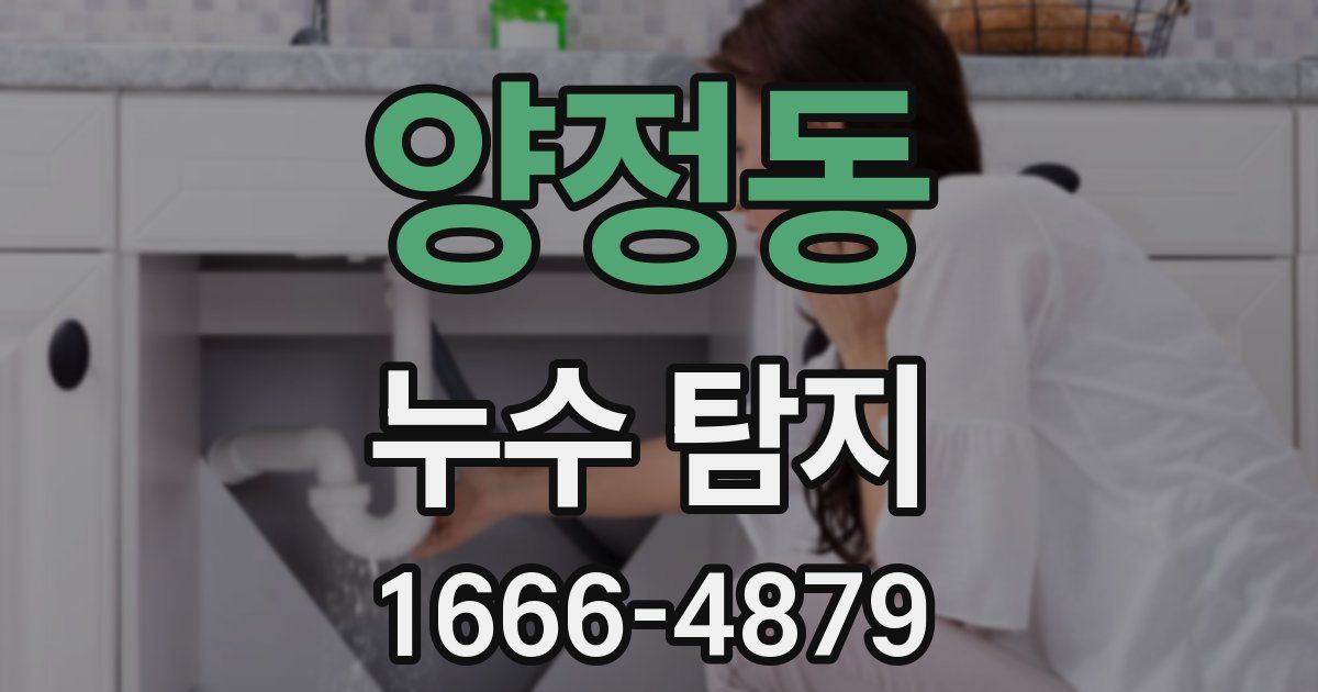 양정동 누수 탐지