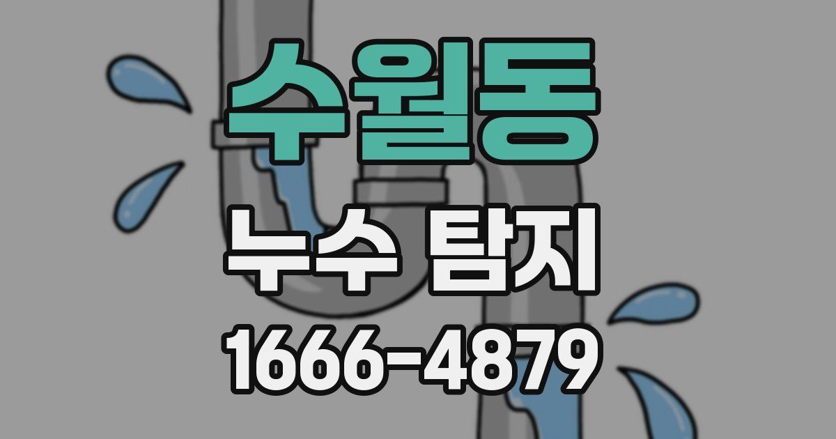 수월동 누수 탐지