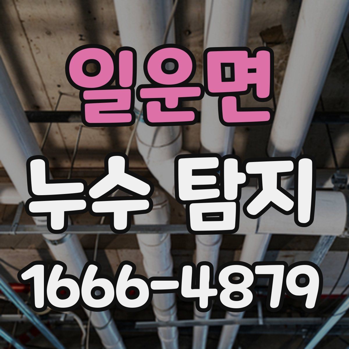 일운면 누수 탐지 시 측정 장비 활용 사례