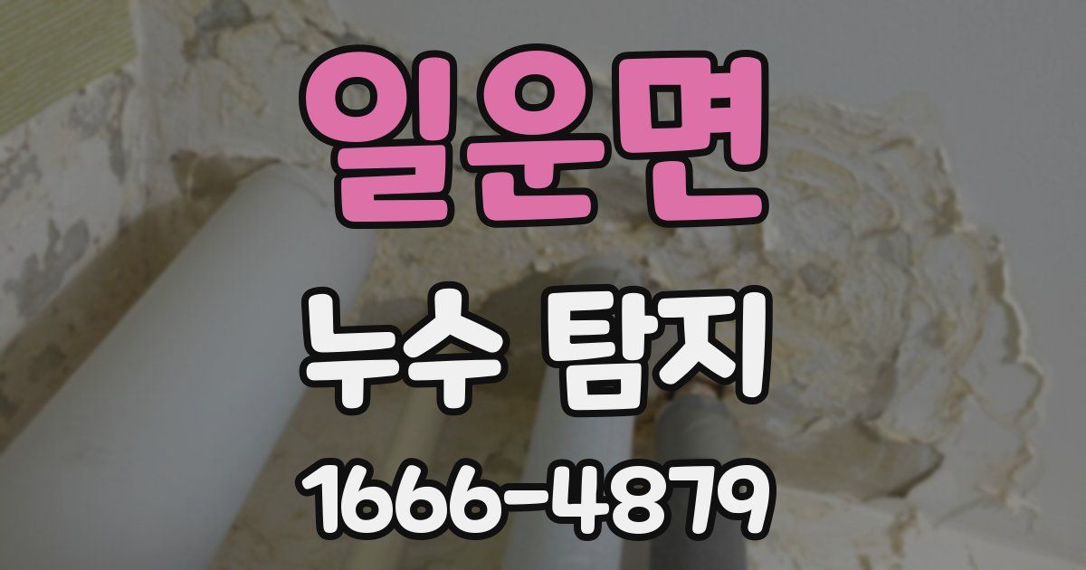일운면 누수 탐지