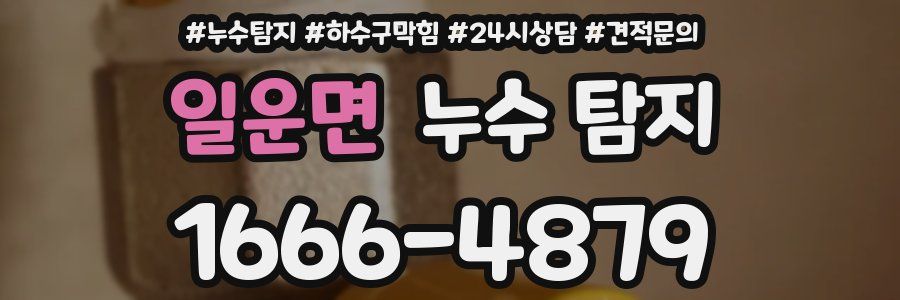 일운면 누수 탐지