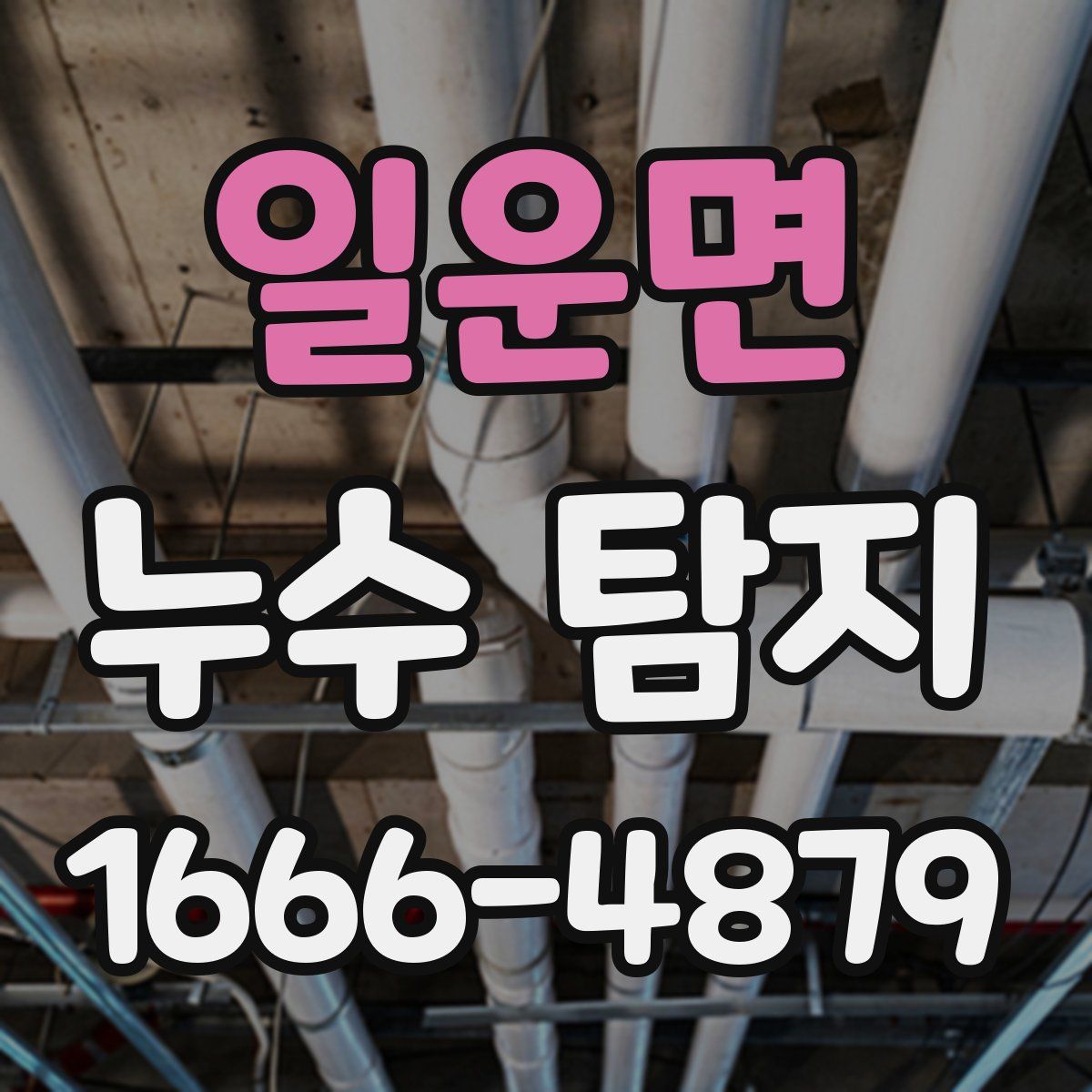 일운면 누수 탐지