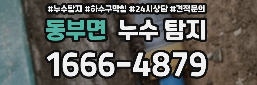 동부면 누수 탐지