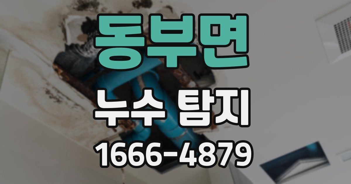 동부면 누수 탐지