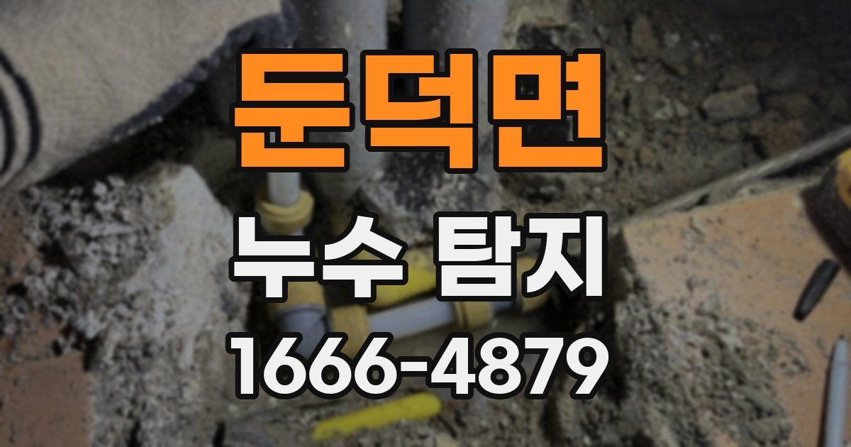 둔덕면 누수 탐지