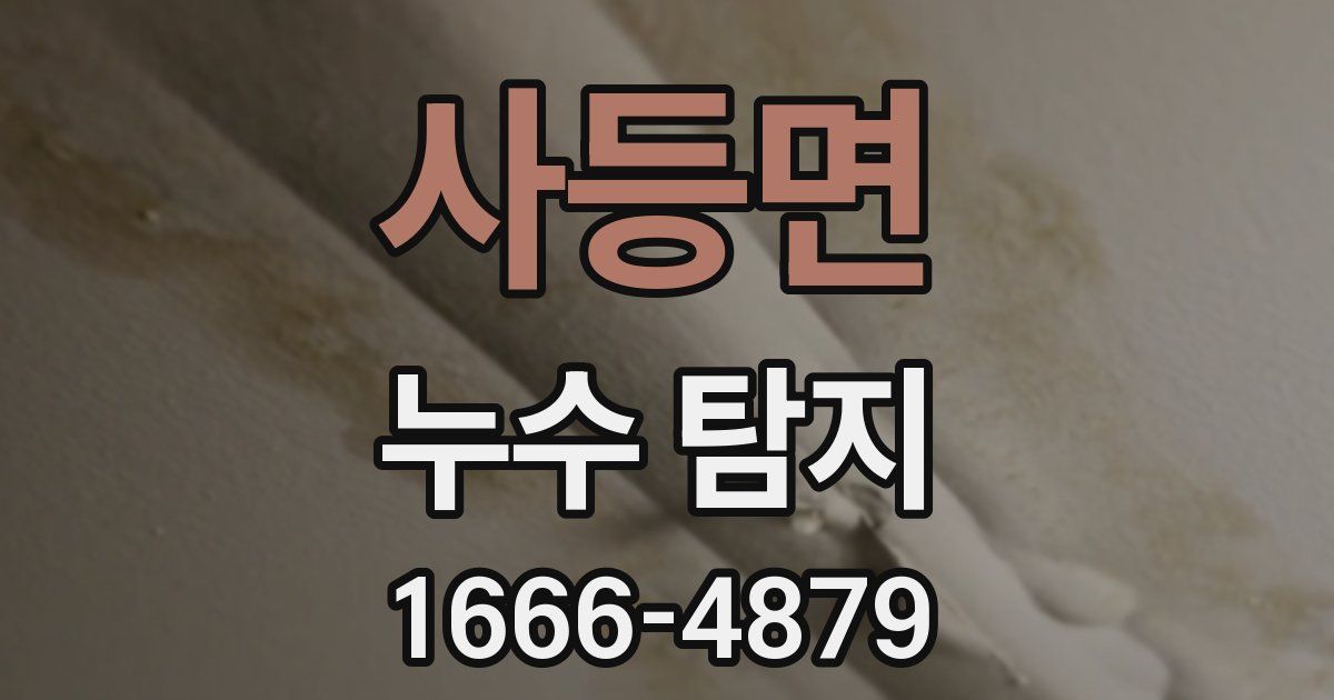 사등면 누수 탐지