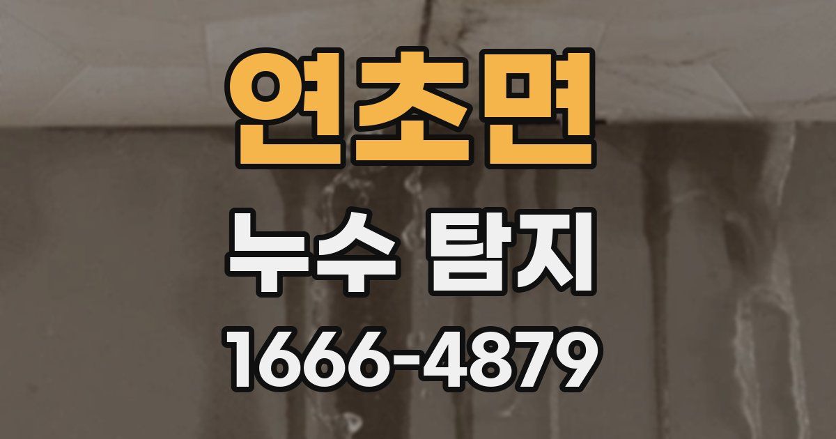 연초면 누수 탐지
