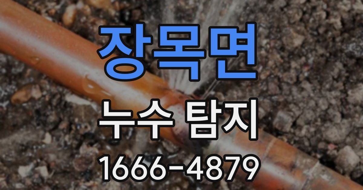 장목면 누수 탐지
