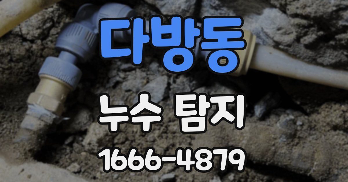 다방동 누수 탐지