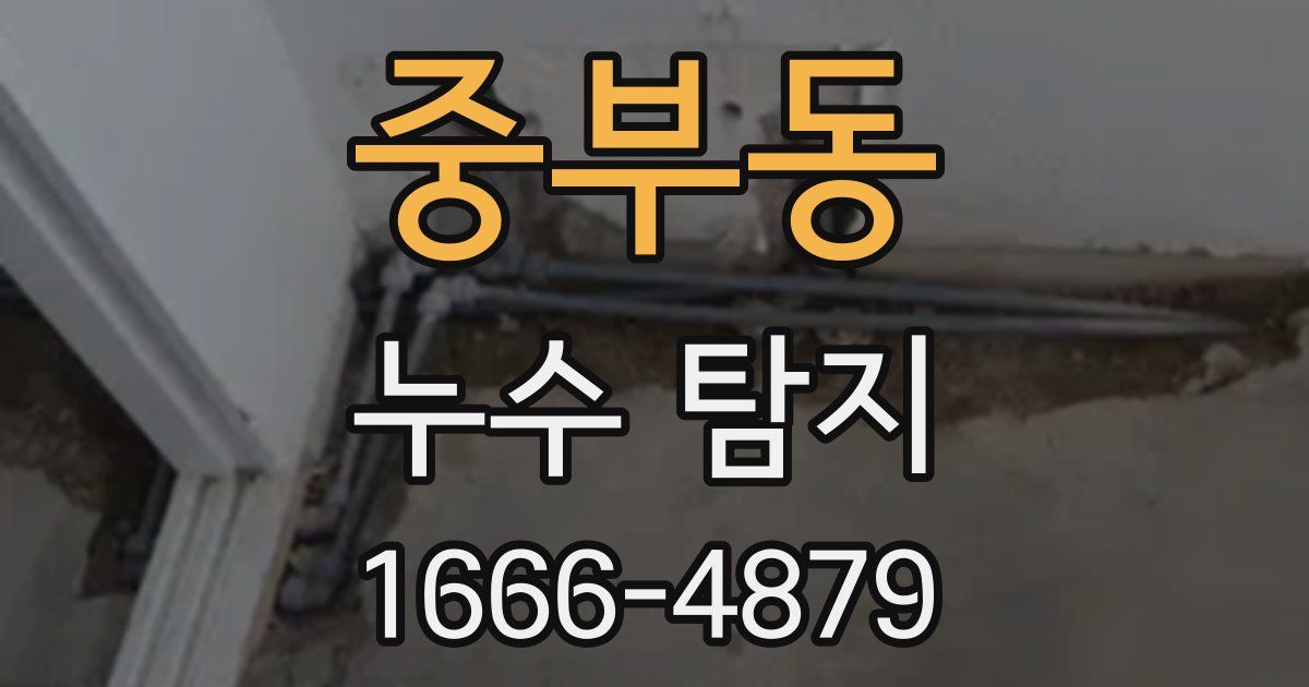 중부동 누수 탐지