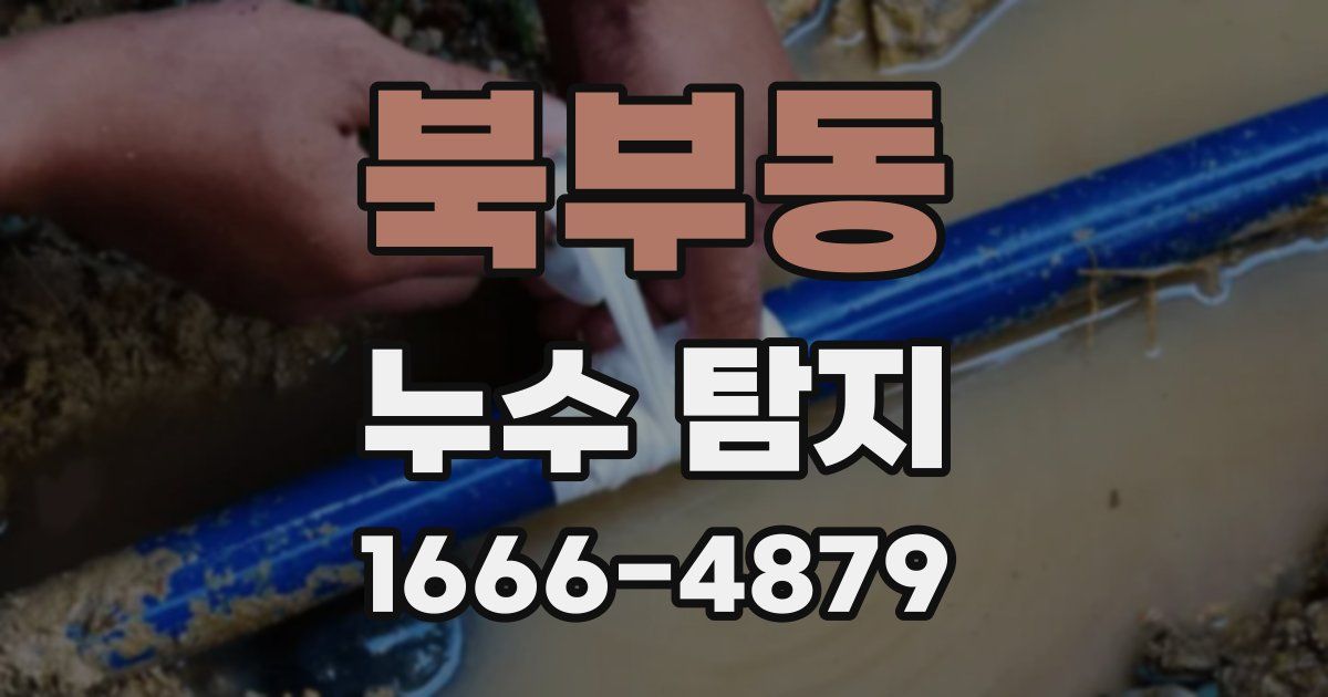 북부동 누수 탐지