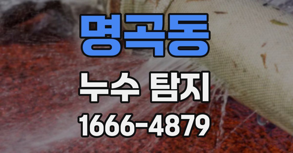 명곡동 누수 탐지