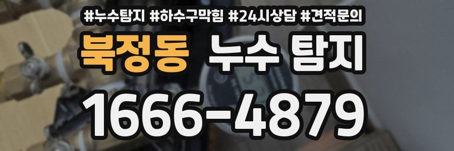 북정동 누수 탐지