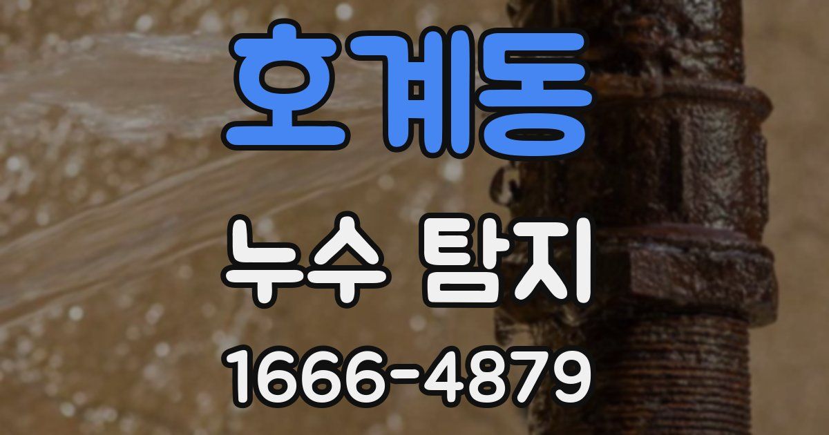 호계동 누수 탐지