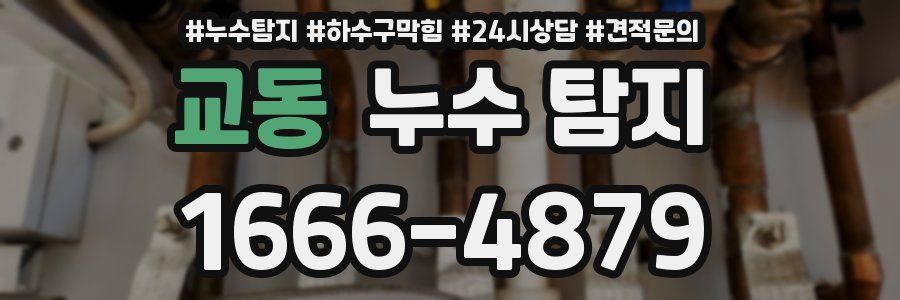 교동 누수 탐지
