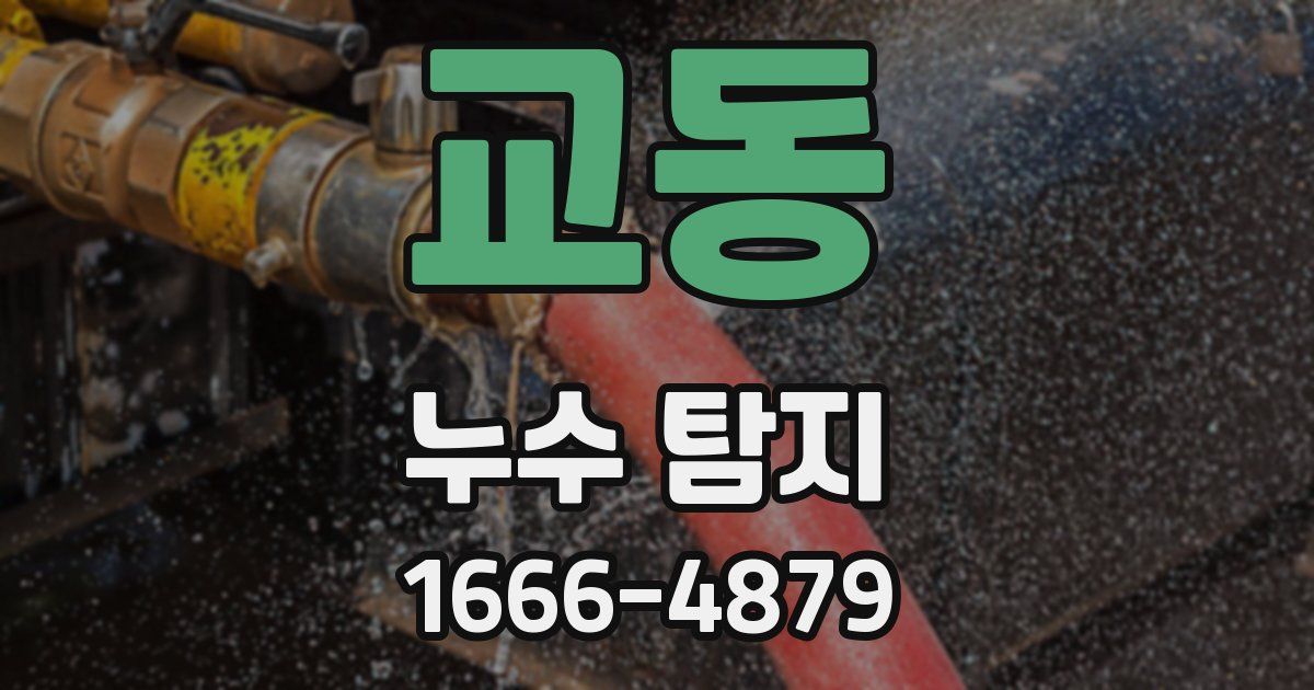 교동 누수 탐지