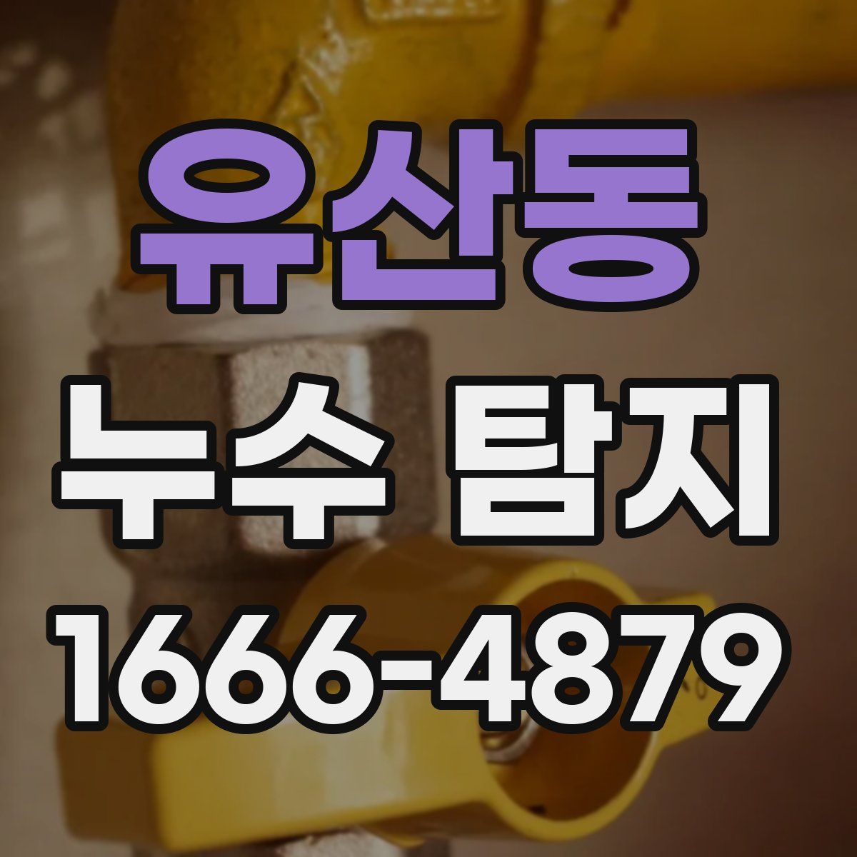 유산동 누수 탐지
