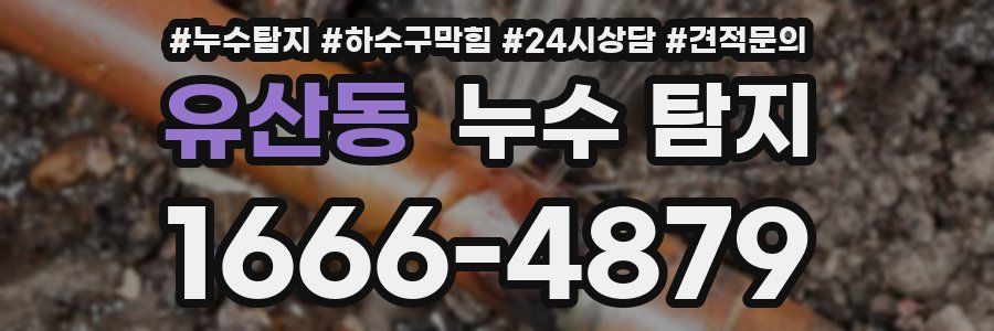 유산동 누수 탐지