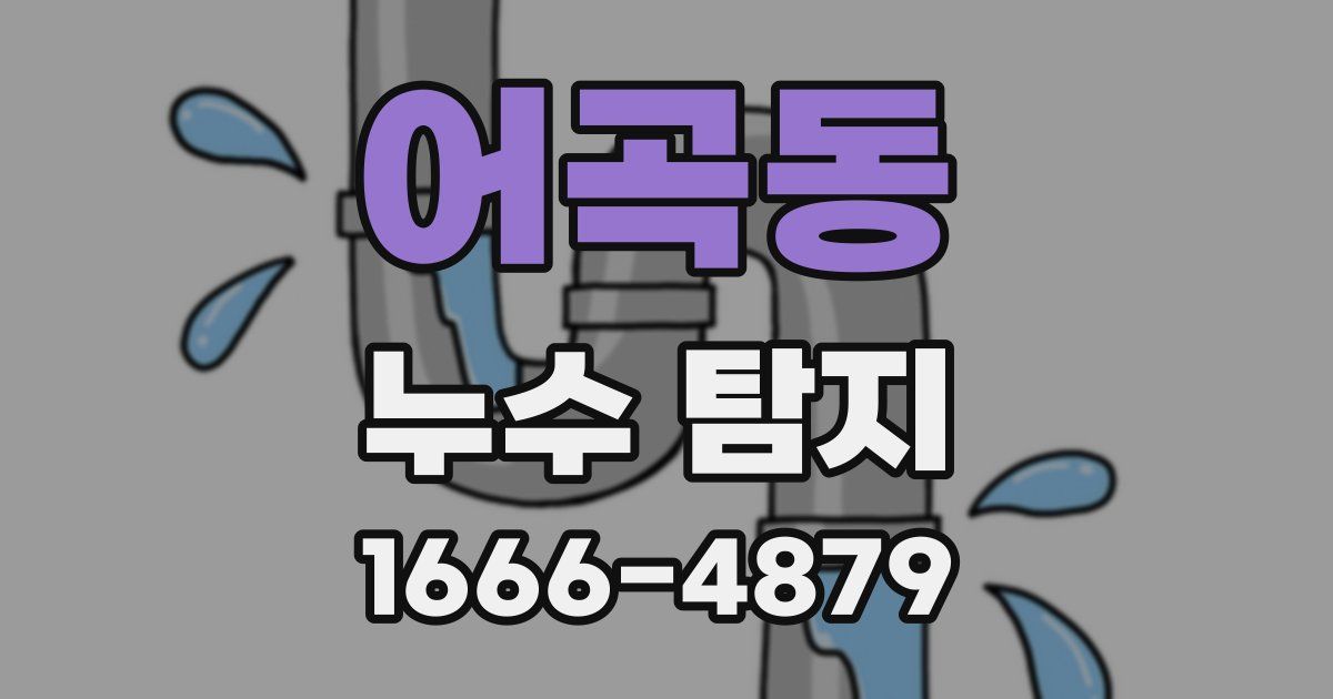 어곡동 누수 탐지