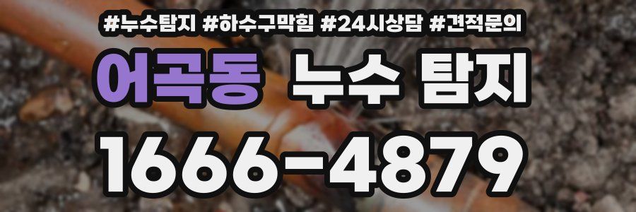 어곡동 누수 탐지