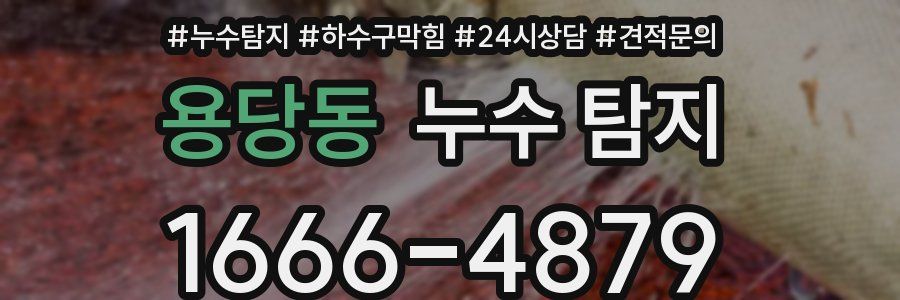 용당동 누수 탐지