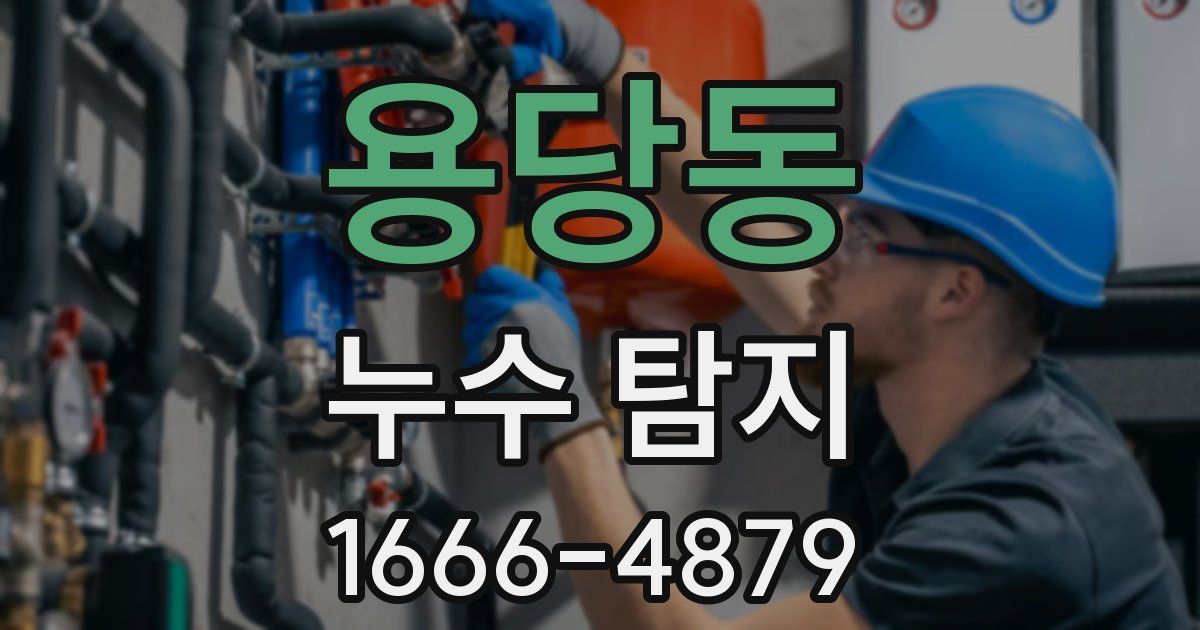 용당동 누수 탐지