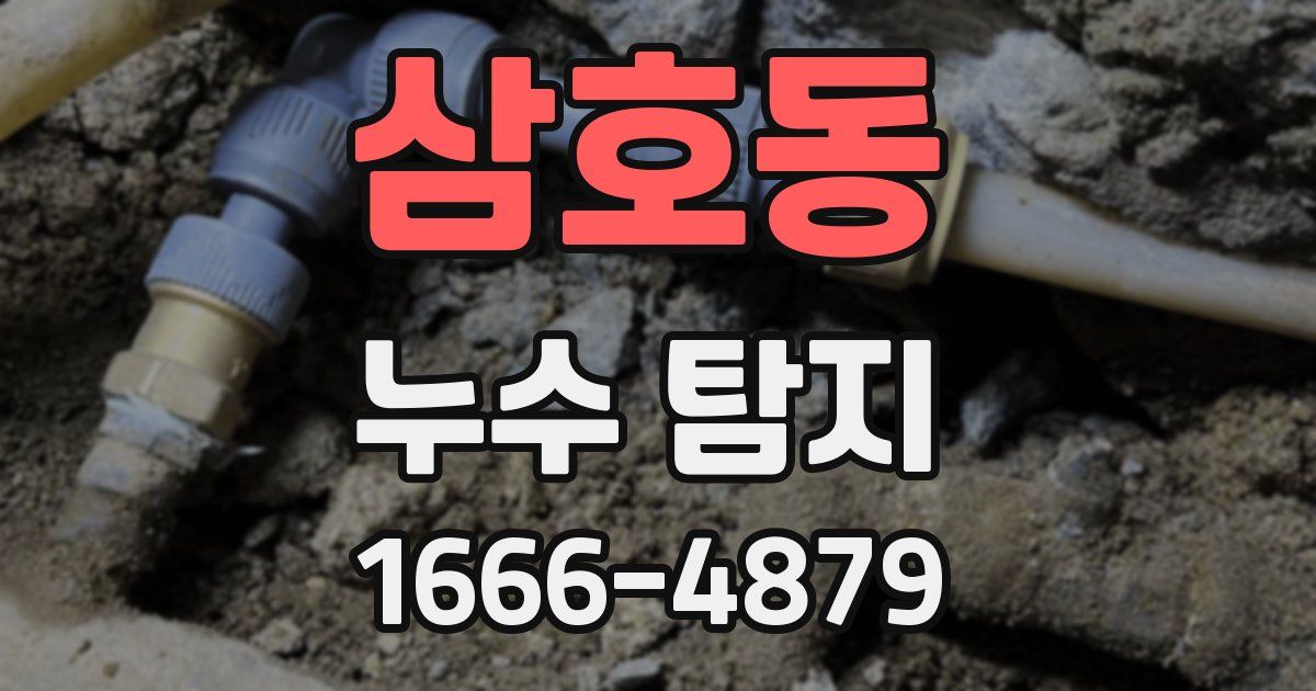 삼호동 누수 탐지