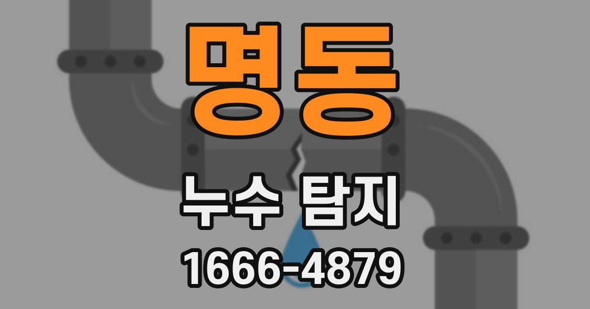 명동 누수 탐지