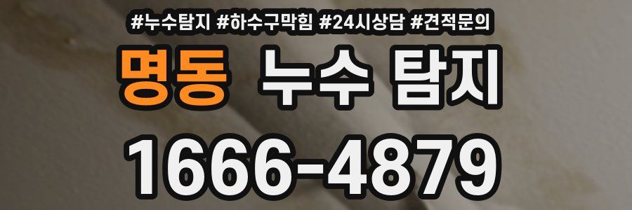 명동 누수 탐지