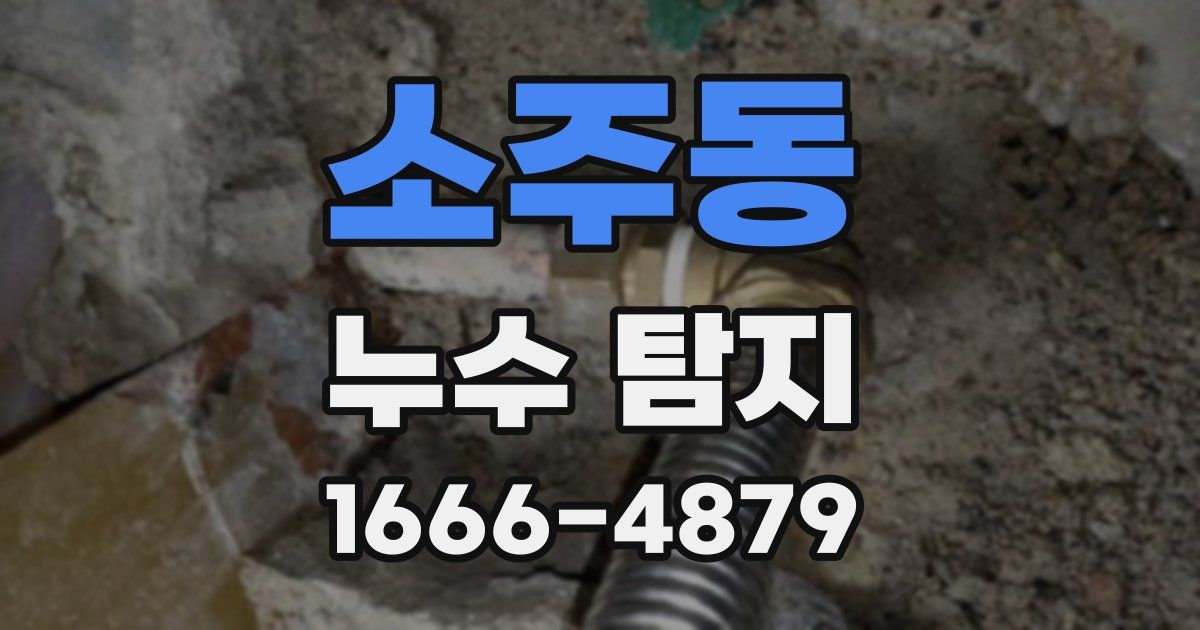 소주동 누수 탐지