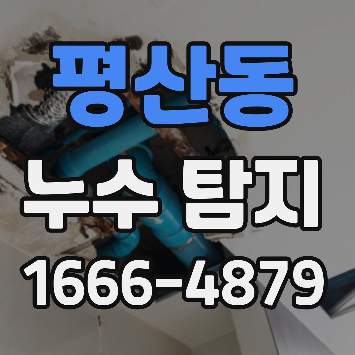 평산동 누수 탐지