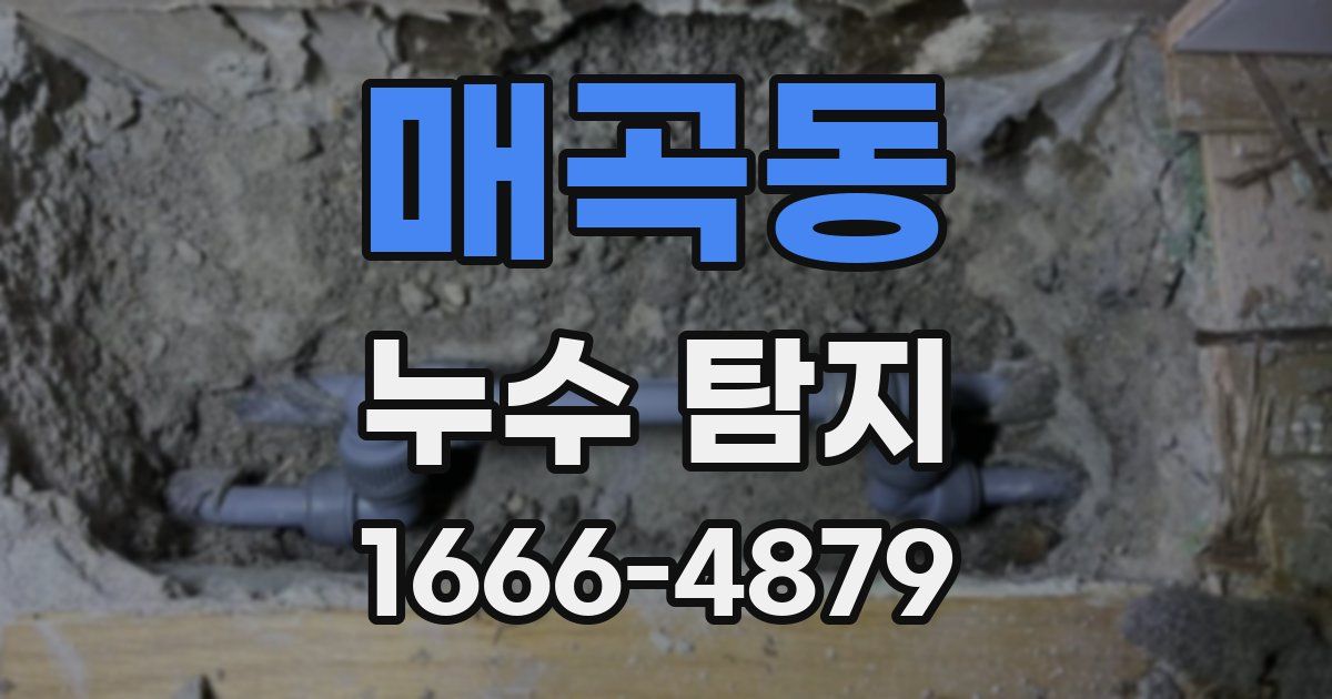 매곡동 누수 탐지