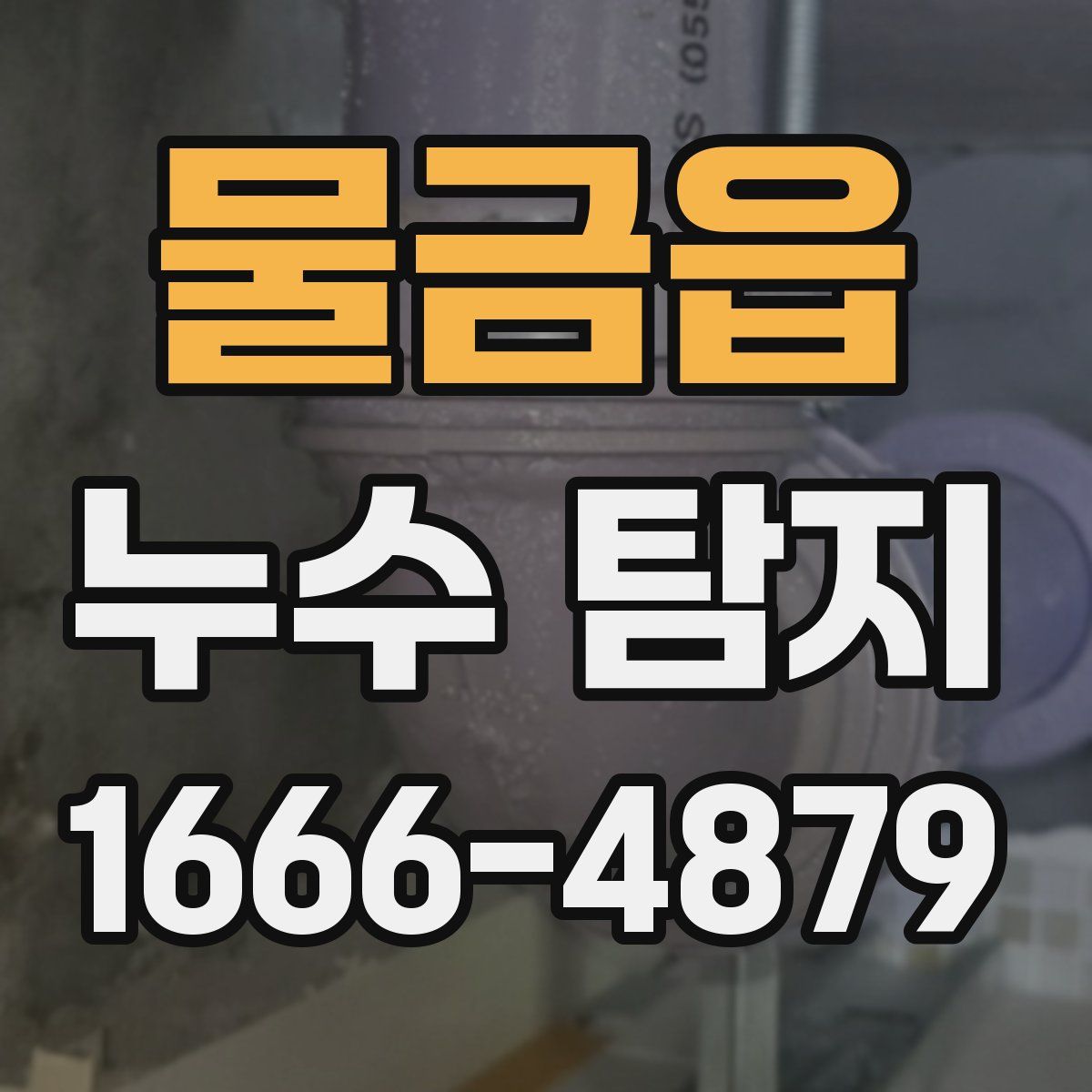 물금읍 누수 탐지