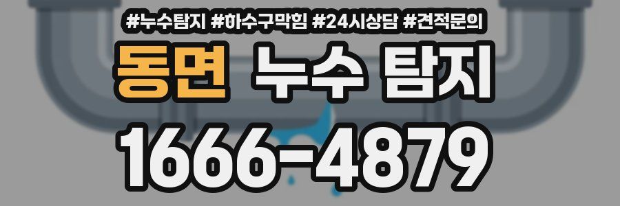 동면 누수 탐지