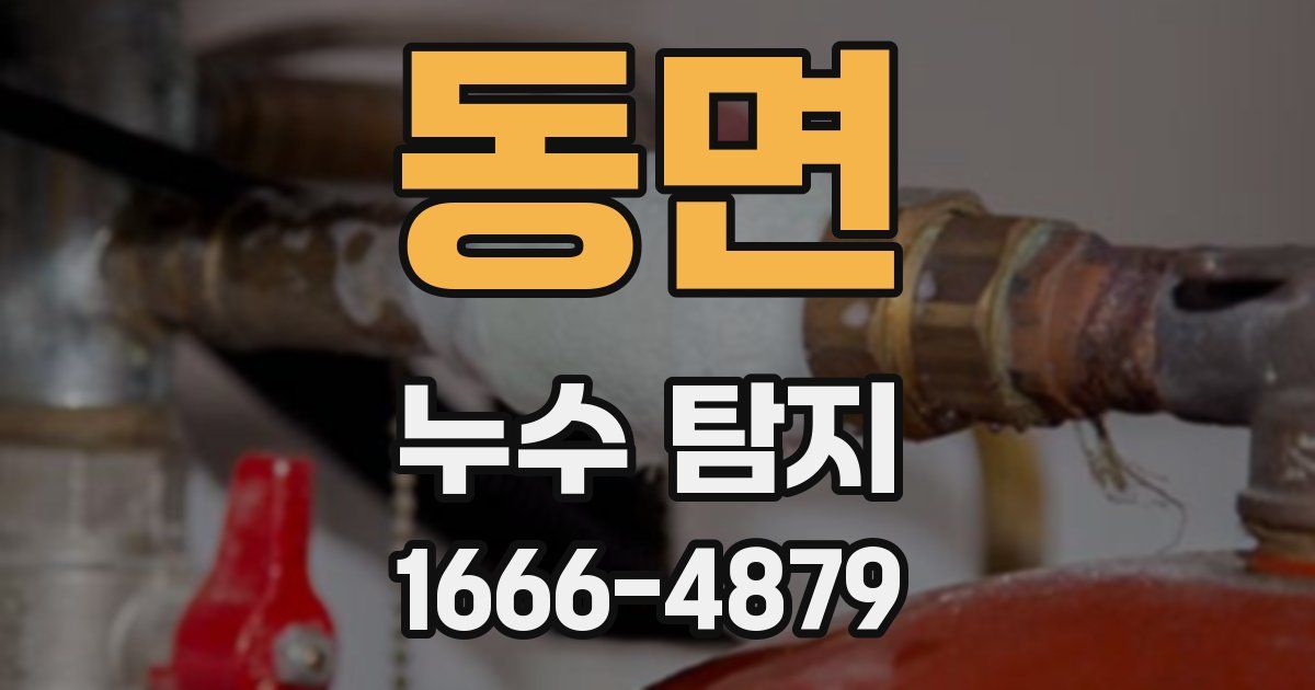 동면 누수 탐지