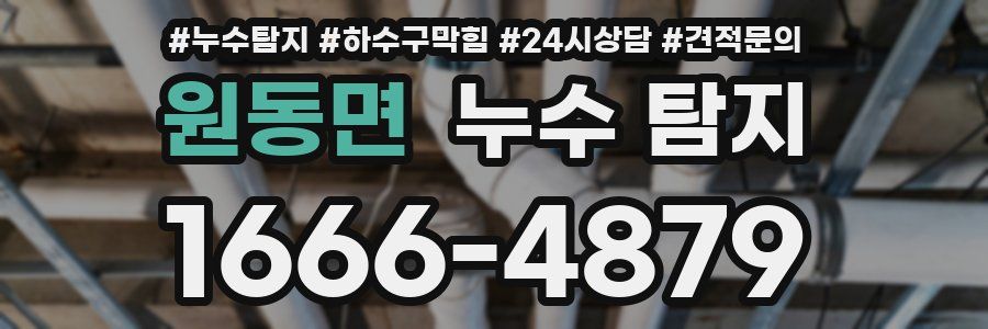 원동면 누수 탐지